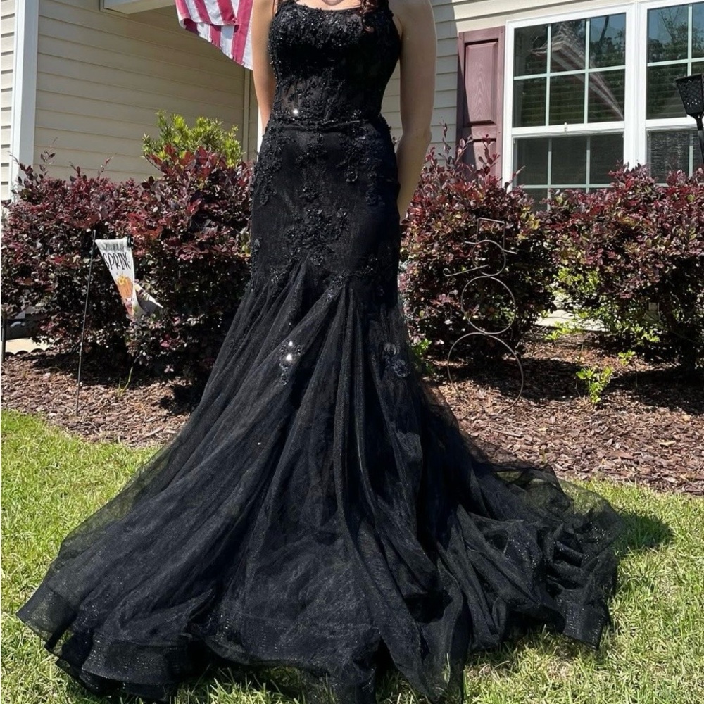 Elegant Black Evening Gown/Prom Dress